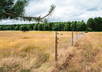 Agricultural Electric Fencing built by Circle W Fence Solutions serving Tennessee and Kentucky