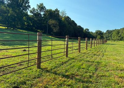 Rural farm Fence for cows