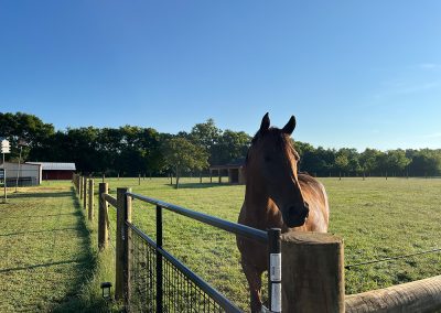 Another recent Horse Fence job completed outside of Clarksville