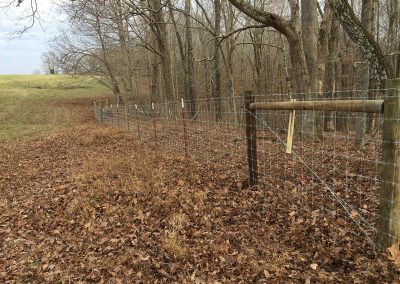 Agricultural Goat & Sheep Fencing built by Circle W Fence Solutions serving Tennessee and Kentucky