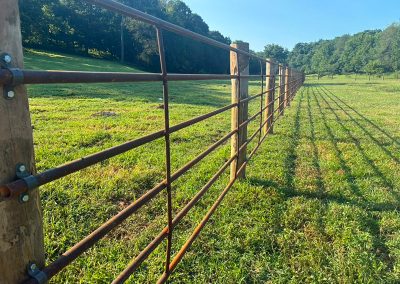 Cattle Fence installed with a gate