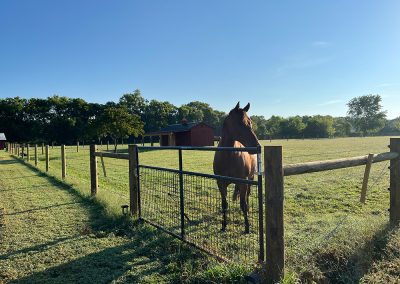 New no climb horse fence installed in Tennessee
