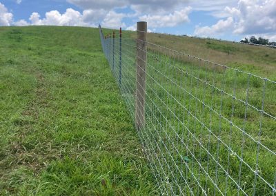 Agricultural Goat & Sheep Fencing built by Circle W Fence Solutions serving Tennessee and Kentucky