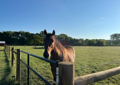 A new horse Fence job we just completed