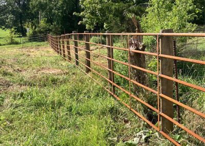 Agricultural Cattle Fencing built by Circle W Fence Solutions serving Tennessee and Kentucky