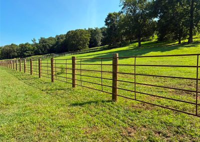 Continuous Cattle Fence Installed in Tennessee