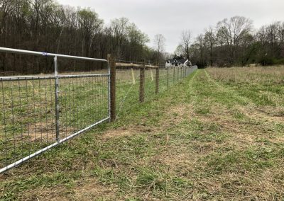 Agricultural Goat & Sheep Fencing built by Circle W Fence Solutions serving Tennessee and Kentucky