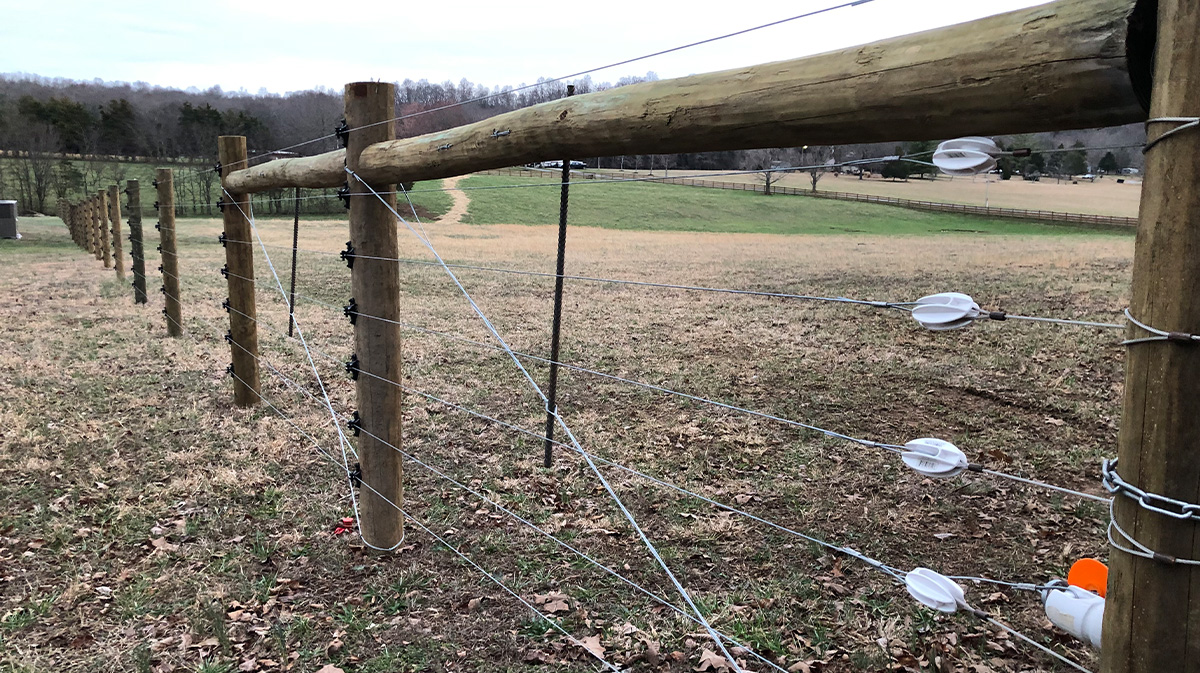 Why Agricultural Electric Fencing is smart. Circle W Fence Solutions, serving Tennessee and Kentucky