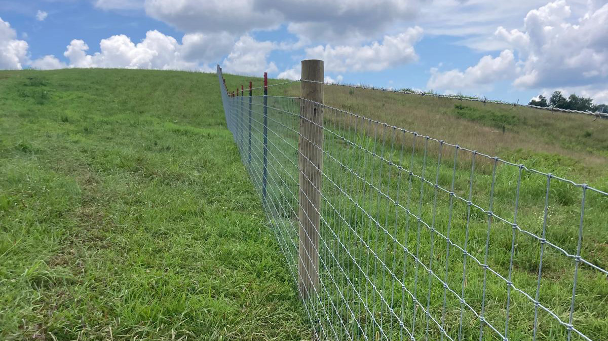 Why Agricultural Goat & Sheep Fencing is smart. Circle W Fence Solutions, serving Tennessee and Kentucky
