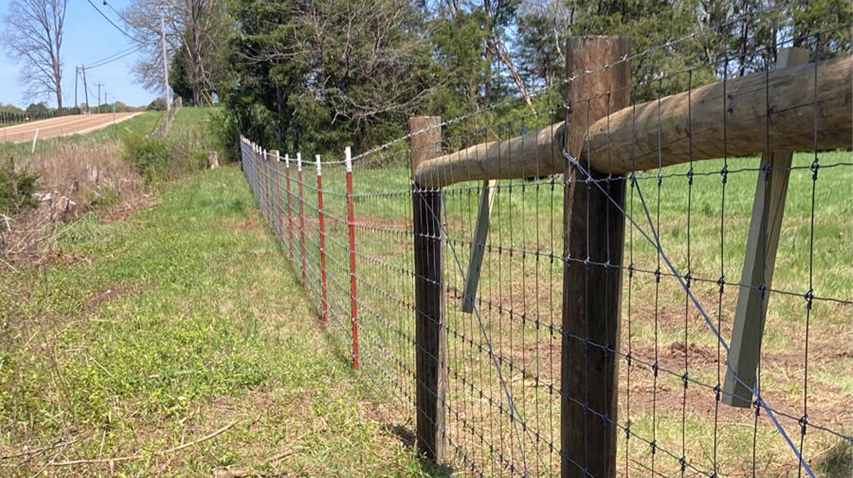 Why Cattle Fencing is smart. Circle W Fence Solutions, serving Tennessee and Kentucky