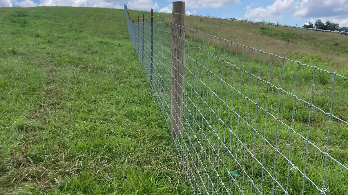 Why Woven Wire Fencing is smart. Circle W Fence Solutions, serving Tennessee and Kentucky
